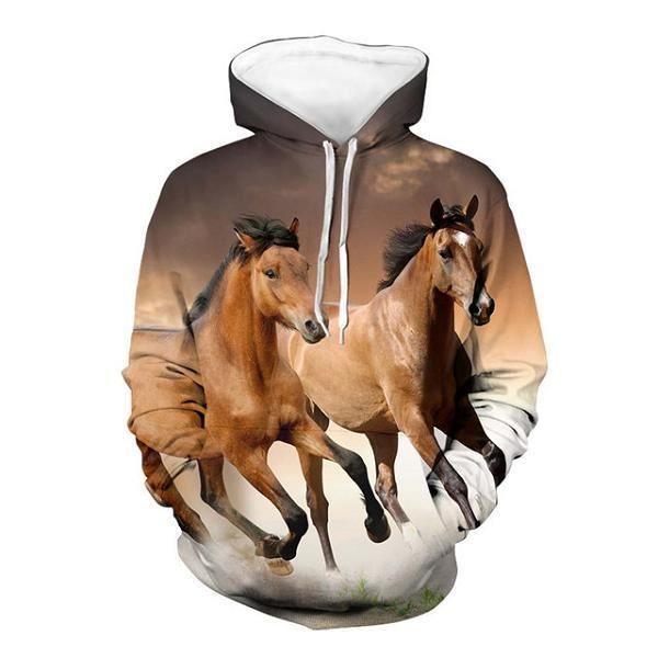 Sweat a capuche best sale cheval