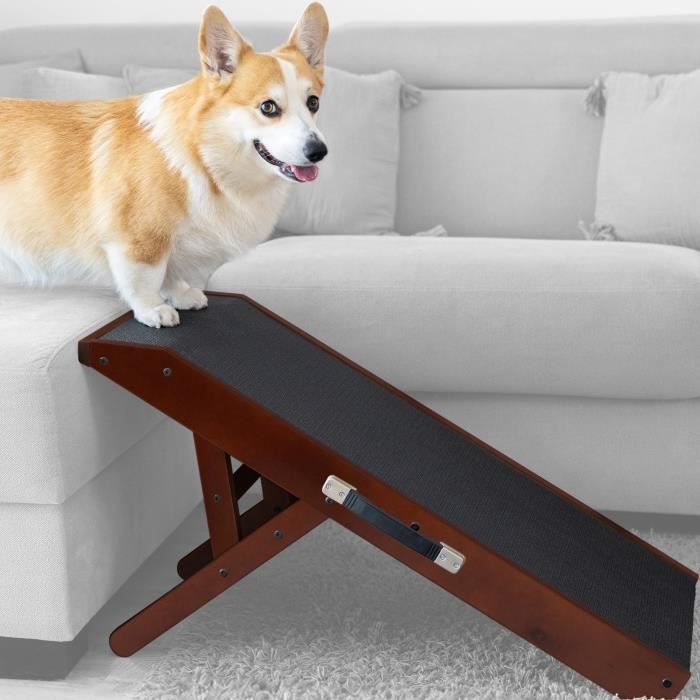 Escalier pour chien Rampe Lit Canapé Noix