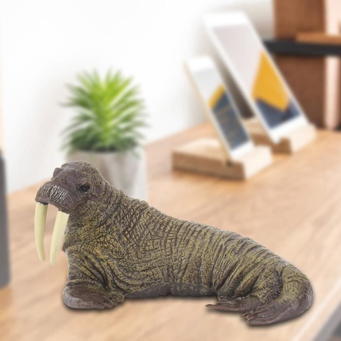 Figurine Poisson Réaliste Oshhni - Jouet éducatif - Modèles De Poissons (Chauliodus, Espadon, Voilier)