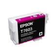 Cartouche d'encre EPSON T7603 Magenta vif - Orque - Ultra Chrome HD Vivid - 25.9ml - Surecolor SC-P600-1