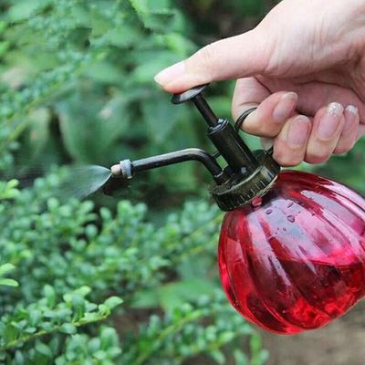 Arrosoir Vaporisateur Vintage En Verre - 350 Ml, Buse Brumisation Précise, Déco Rétro Pour Plantes