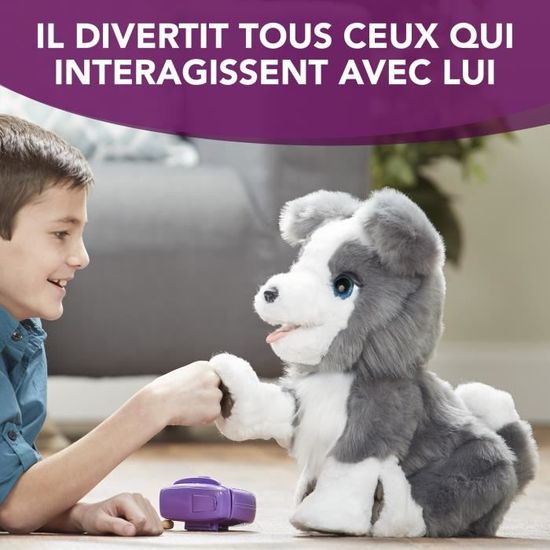 Ricky le chien malin best sale