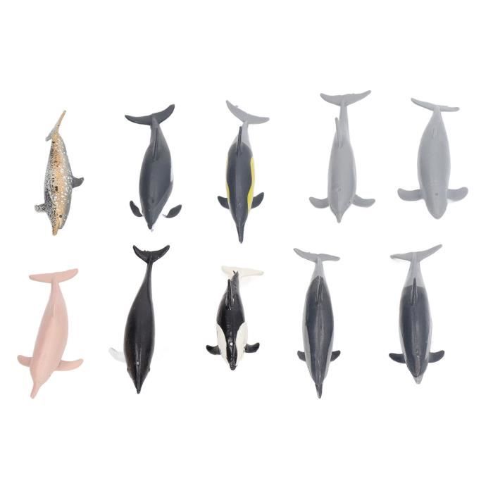 Kit de couture bricolage famille dauphin, kit de couture complet pour  animaux en peluche dauphin, faire votre propre famille dauphin en feutre -   Canada