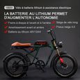 AKEZ S2 - Vélo électrique - Pneus tout terrain 20*4" - Moteur 750W - Batterie 48V 13Ah - Shimano 7 Vitesse - Tout suspendu - Vert-2