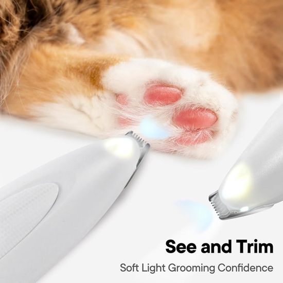 Tondeuse De Pattes De Chien, Tondeuse Pour Chat Rasoir Avec Lumière LED
