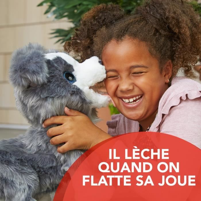Ricky le petit chien très malin best sale