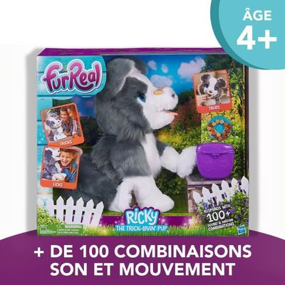 Ricky le petit chien malin best sale