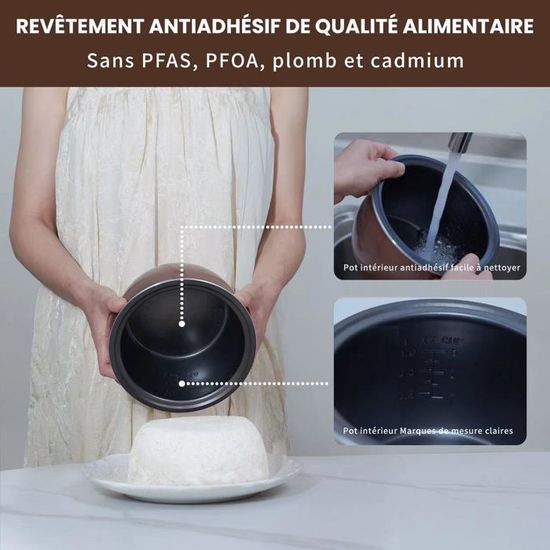 Vapeur Alimentaire, 24V 180W 1,3 L Multifonctionnel Portable