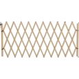 Barriere extensible haute