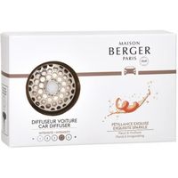 Maison Berger - 6401 Diffuseur de parfum pour voiture Pétillance Exquise Argenté