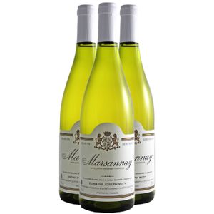 VIN BLANC Domaine Joseph Roty Marsannay 2021 - Vin Blanc de 