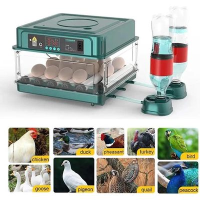 Mini Incubateur Œufs 6 Places Entièrement Automatique 2024 - Couveuse Silencieuse Pour Poules, Cailles, Oiseaux