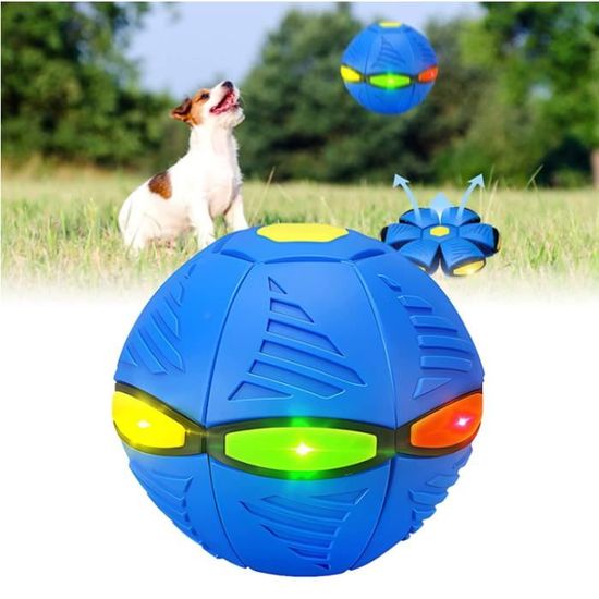 Jouets pour chiens volant UFO soucoupe balle interactive – Les Canins  Branchés