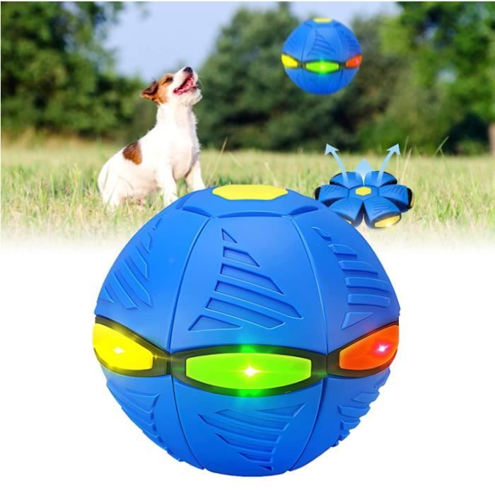 Balle magique avec lumières pour chiens, jouet volant, boule de  décompression créative, jouet pour animaux de compagnie, entraînement en  plein air, jeux pour chiens - AliExpress