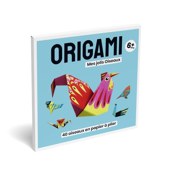 Origami, Jeux educatif, Activité Manuelle Enfant & Adulte, Loisir Créatif  de Pliage Papier Facile