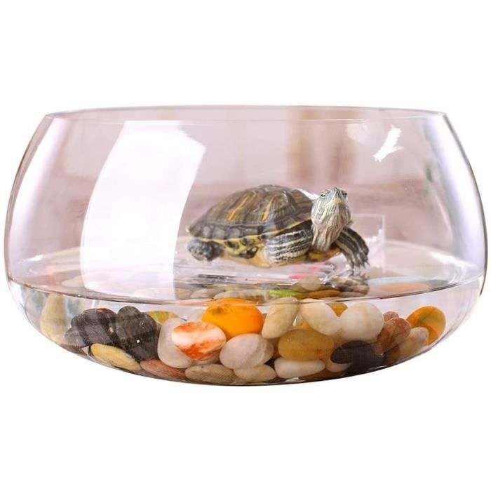Petit Aquarium Avec Pompe USB – Pour Bureau, Maison, Chambre – Élevage Poissons Betta, Crevettes – Décoration Apaisante - 1
