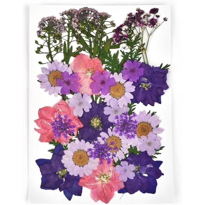 Fleur Séchée, Bougie Parfumée Naturelle, Fabrication De Colle En Résine