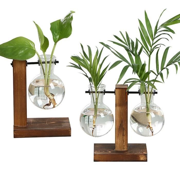 Boîte à Spécimens En Bois Avec Couvercle Transparent - Pour Collection Insectes, Plantes, Exposition