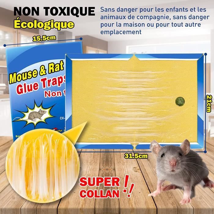 LIWI-Piege a Souris Piège à Rat - 2 Pièces Plaque Collante Souris
