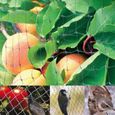 4*10m filet de Protection PR vigne Mesh Noir Anti-oiseaux protège légume plant fruit - XY FR-3