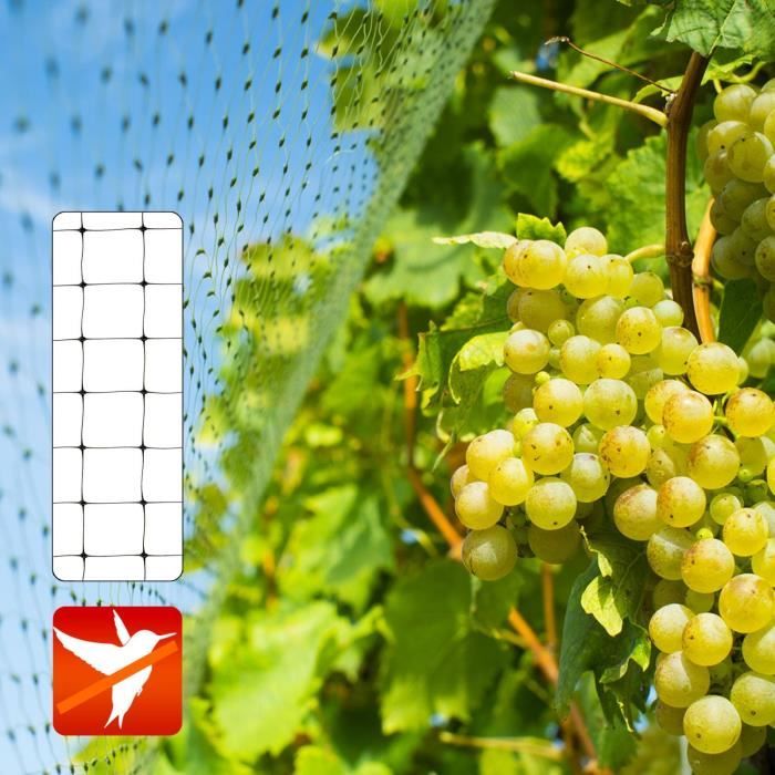 Filet Anti Insectes Jardin, Filet De Protection Contre Les U200boiseaux Plantes 1295193
