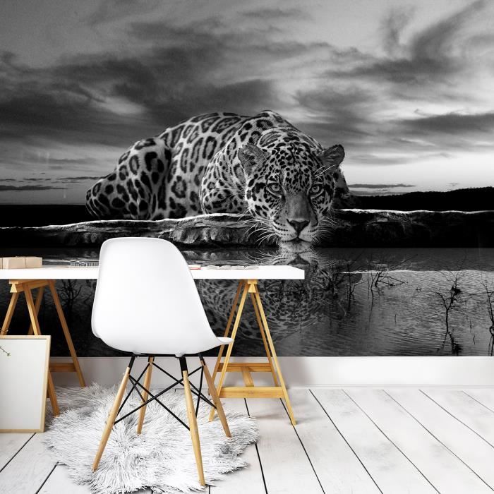 Papier Peint Intissé Panoramique Lion Animaux Aquarelle 254x184 cm - Colle  Inclus - Chambre et Salon - Moderne Trompe l'oeil