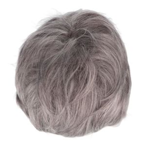 Perruques hommes 2025 cheveux gris