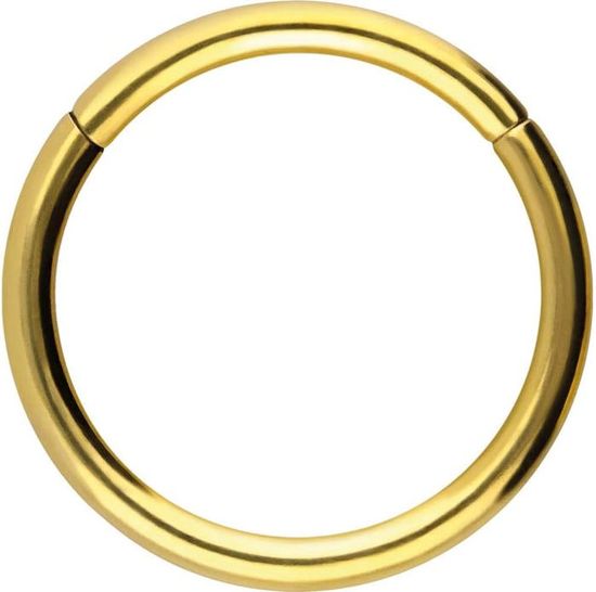 Vankula Septum Anneau segmenté à clicker en acier inoxydable 316L 8 mm 16 g Piercing de nez Anneau de cartilage Rook Daith Traguu Piercing Bijoux pour femmes et hommes Doré/argenté, Métal