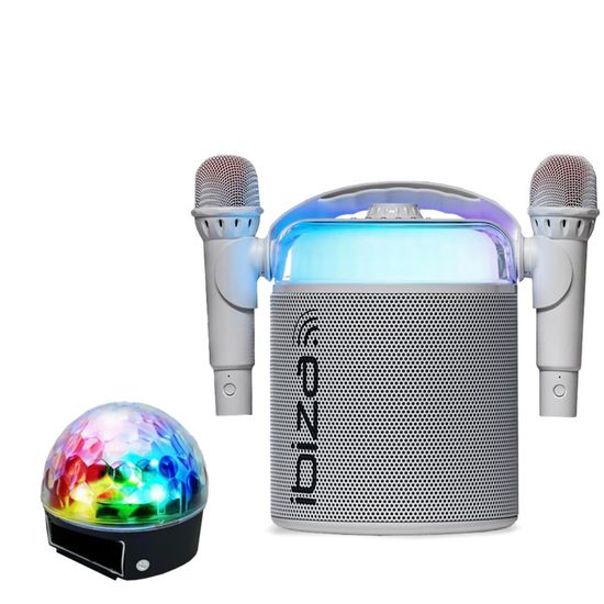 Pack Karaoké Ibiza Complet - Enceinte 1000W, écran 14,1", 4 Micros Sans Fil, Portique Lumière - Pour Soirées Et Animations