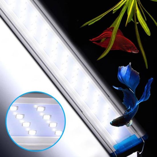 Akozon Lumière LED pour aquarium Aquarium Fish Tank Lampe à LED Économie d'énergie Étanche CN 220-240V