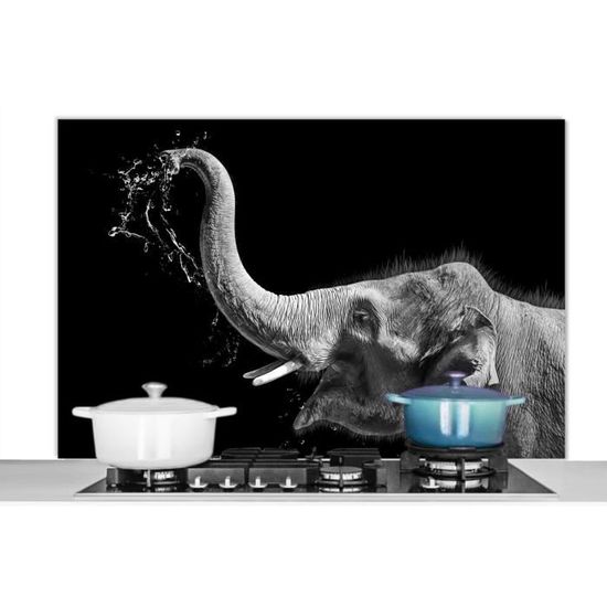 Crédence Cuisine Chiots Noir Et Blanc - Aluminium 3 Mm, 120x80 Cm, Résistante à La Chaleur, Facile à Nettoyer