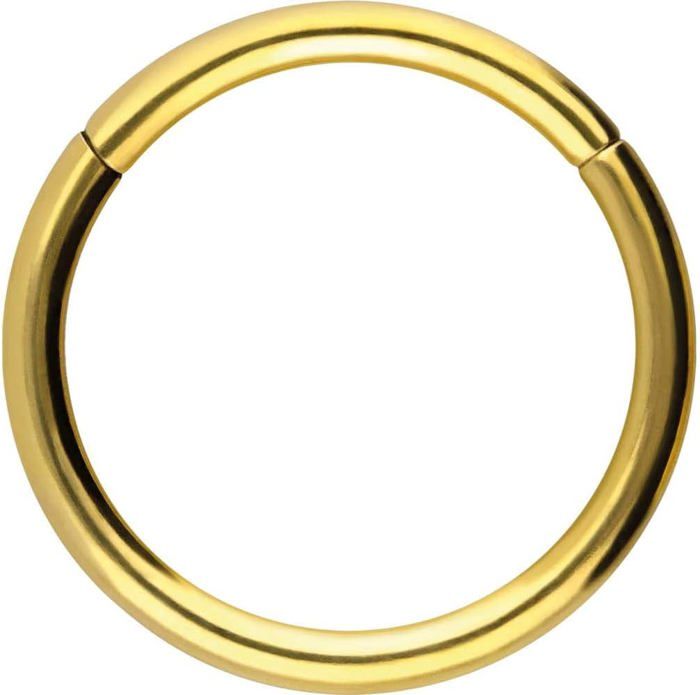 AceFun 14 16 18 20G Anneau Segmenté Ensemble Acier Chirurgical Piercing