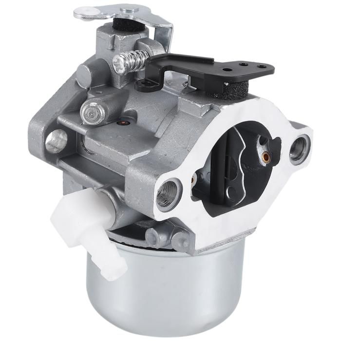 Carburateur pour Briggs & Stratton 28M707 28R707 28T707 28V707 694941 699831 pièces de moteur de tondeuse à gazon