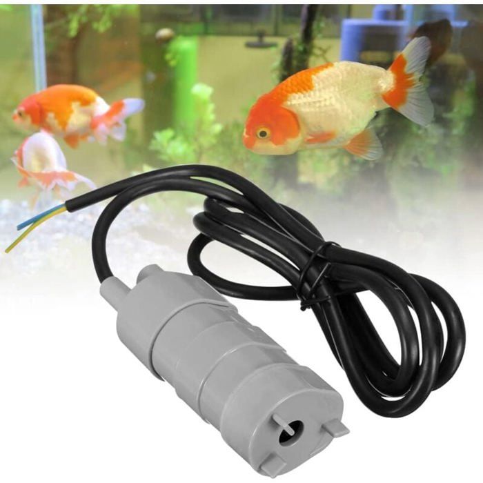 Pompe à Eau Immergée 12v Submersible pour Camping-car ond étang Aquarium Fontaine Daquarium