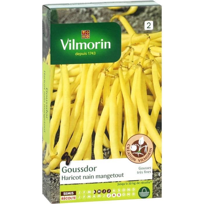 Graines Haricot Vilmorin Skipper - Variété Rustique Pour Congélation - Lot De Semences