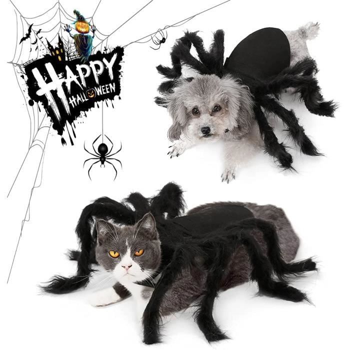Costume De Chien De Araignee Halloween Vetements Pour Animaux De Compagnie Cosplay Costume En Forme D Araignee Chat Chien Je 4 Cdiscount Costume De Chien De Araignee Halloween Vetements Pour Animaux De Compagnie Cosplay Costume En Forme D Araignee Chat Chien Je 4 Cdiscount