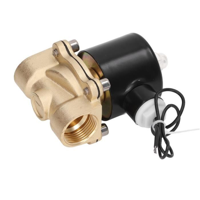 Électrovanne Fontaine Laiton 1 Pouce IP68 Étanche – Normally Closed 12V 24V 110V – Sous-Marine & Extérieur