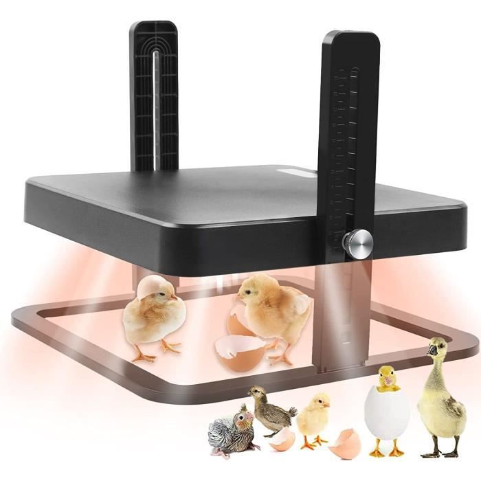 VGEBY Chauffage de Couveuse pour Poussins Plaque Chauffante 13W Chauffe
