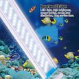 Akozon Lumière LED pour aquarium Aquarium Fish Tank Lampe à LED Économie d'énergie Étanche CN 220-240V-1