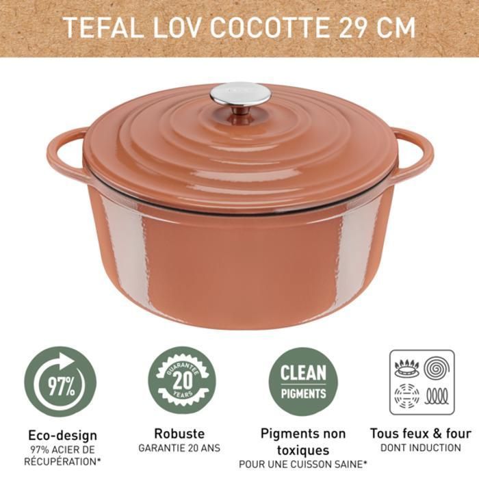 Cocotte En Fonte Tefal