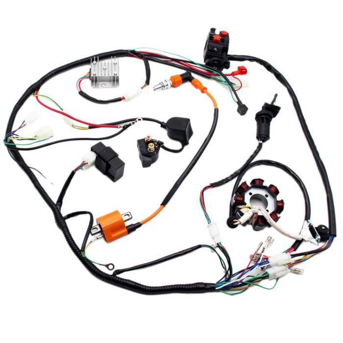Circuit éLectrique Complet Du Faisceau De CâBles Stator Coil CDI