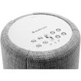 AUDIO PRO Enceinte A10 Light Grey Multiroom - WIFI - Bluetooth-2