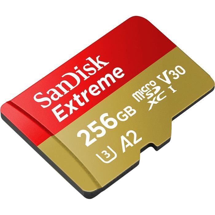 SANDISK SD EXTREME PRO 256GB (jusqu'à 200MB/S en lecture et 90MB/S en  écriture)