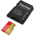 Carte Mémoire microSDXC SanDisk Extreme 256 Go + Adaptateur SD avec Performances Applicatives A2 jusqu'à 160 Mo/s, Classe 10, U3, V3-3