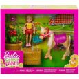 Barbie Coffret Chelsea Avec Son Poney Brun Avec Botte De Paille Et Accessoires - Jouet Fille Ferme - Centre Equestre - Nouveaute-0