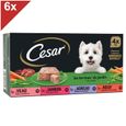 CESAR Barquettes en terrine 4 variétés pour chien 300g (4x6)-0