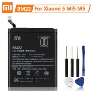 Batterie Interne IPhone 5C/5S + Outils - Compatible Apple Neuf