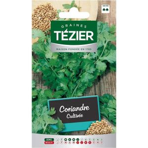 GRAINE - SEMENCE Sachet Graines - Tezier - Coriandre Cultivée - Sachet aromatique - (Mois de semis de 3 à 6)