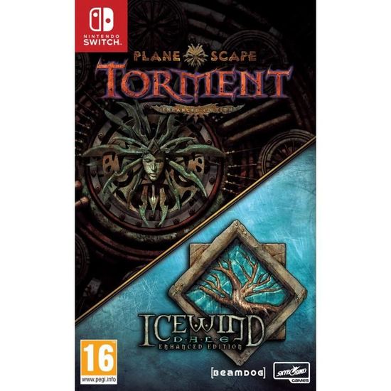 Planescape Torment and Icewindale Jeu Switch