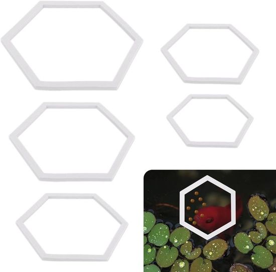 Anneaux Flottants Pour Aquarium - Lot De 20 En Mousse EVA - 5 Tailles (9 à 21 Cm) - Noir Et Vert - Pour Alimentation Et Plantes